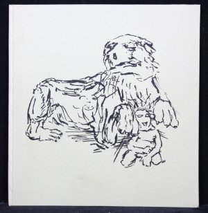 Erzählung und Lithographien von Oskar Kokoschka.