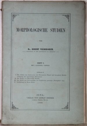 antiquarisches Buch – Robert Wiedersheim – Morphologische Studien. Heft I (= alles). Mit 3 lithogr. Tafeln.