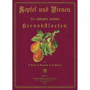 Aepfel und Birnen - Die wichtigsten deutschen Kernobstsorten