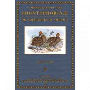 gebrauchtes Buch – John Gould – A Monograph of the Odontophorinae or Partridges of America