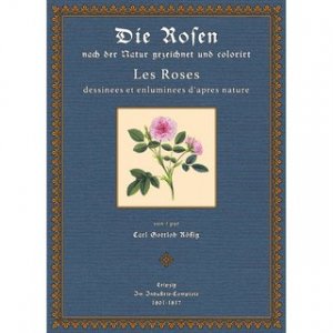 Die Rosen nach der Natur gezeichnet und colorirt mit kurzen botanischen Bestimmungen begleitet Zweisprachig: Deutsch und Französisch