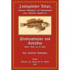 Zoologischer Atlas Enthaltend Abbildungen und Beschreibungen neuer Thierarten während des Flottenkapitäns von Kotzebue zweiter Reise um die Welt, auf […]