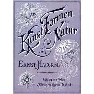 Kunstformen der Natur Luxusausgabe im Originalformat