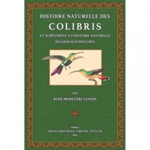 gebrauchtes Buch – Lesson, René Primevère – Histoire Naturelle des Colibris suivie d'un supplément a l'histoire naturelle des oiseaux-mouches