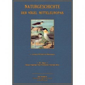 Pelikane, Fregattvögel, Tölpel, Fluss-Scharben, Tropikvögel, Möwen - Naturgeschichte der Vögel Mitteleuropas Band 11 Herausgegeben von Dr. Carl R. Hennicke […]