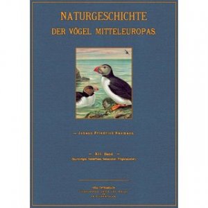 Sturmvogel, Steissfüsse, Seetaucher, Flügeltaucher - Naturgeschichte der Vögel Mitteleuropas Band 12 Herausgegeben von Dr. Carl R. Hennicke in Gera