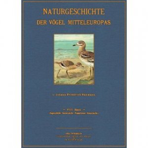 Regenpfeifer, Stelzenläufer, Wassertreter, Strandläufer - Naturgeschichte der Vögel Mitteleuropas Band 8 Herausgegeben von Dr. Carl R. Hennicke in Gera