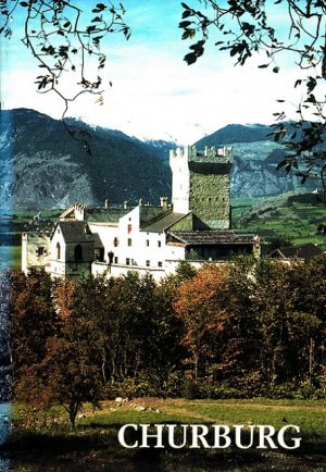 gebrauchtes Buch – Leo Andergassen – Churburg (Vinschgau) / Kleine Kunstführer ; Nr. 779