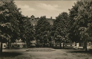 antiquarisches Buch – Crimmitschau in Sachsen. Mendelssohn - Bartholdy - Platz. Alte, seltene AK s/w. Partie im Park, Gebäude im Hintergrund