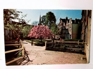 antiquarisches Buch – Begijnhof zwischen Kalverstraat und Spui. Amsterdam. Niederlamde. Alte Ansichtskarte / Postkarte farbig, ungel. ca 60ger Jahre ?. Blick in den prächtigen Hof. Holland