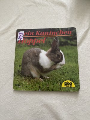 gebrauchtes Buch – Mein Kaninchen Hoppel Pixi 666 Serie 82