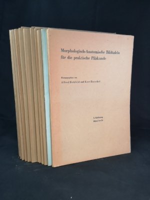 Morphologisch-Anatomische Bildtafeln für die praktische Pilzkunde. - [Lieferungen 1-13. Komplett].