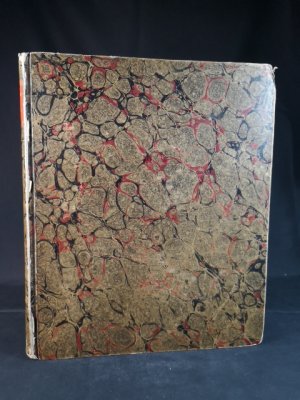Kosmorama oder: Gemälde des Schönsten und Merkwürdigsten aus Natur, Kunst und Menschenleben verbunden mit Novellen, Erzählungen und humoristischen Aufsätzen […]