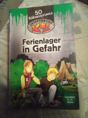 gebrauchtes Buch – Ferienlager in Gefahr