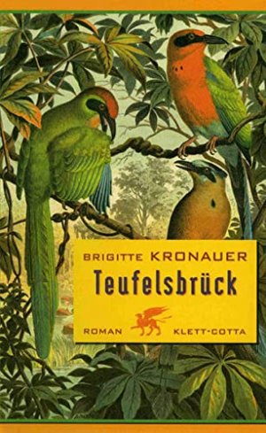 gebrauchtes Buch – Brigitte Kronauer – Teufelsbrück Roman