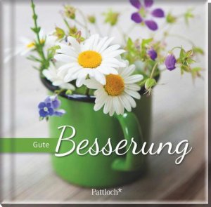 gebrauchtes Buch – Gute Besserung gebrauchtes Buch – Gute Besserung