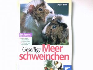 gebrauchtes Buch – Peter Beck – Gesellige Meerschweinchen : [für Kinder und Erwachsene].