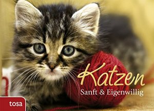 gebrauchtes Buch – Katzen : sanft & eigenwillig