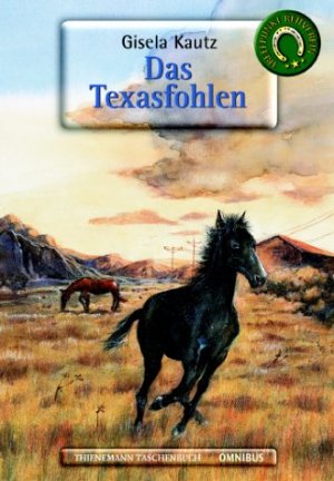 gebrauchtes Buch – Gisela Kautz – Treffpunkt Reitverein: Das Texasfohlen.