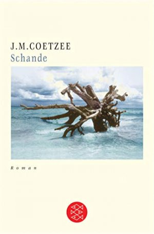 gebrauchtes Buch – Coetzee, J M – Schande : Roman.