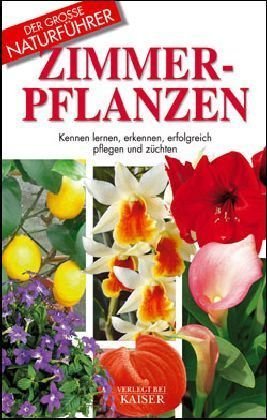 gebrauchtes Buch – DellaBeffa, Maria T – Zimmerpflanzen: Kennen lernen, erkennen, erfolgreich pflegen und züchten