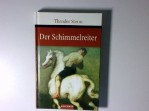 gebrauchtes Buch – Theodor Storm – Der Schimmelreiter (Große Klassiker zum kleinen Preis, Band 24): Novelle