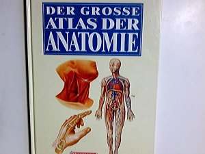 gebrauchtes Buch – Lauen, Joachim  – Der grosse Atlas der Anatomie. übers. und bearb. von Joachim Lauen