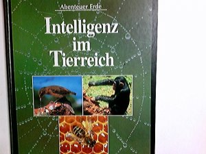 gebrauchtes Buch – Michael, Bright und Meder Angela – Abenteurer Erde - Intelligenz im Tierreich