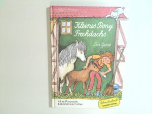 Kleines Pony Frechdachs Lise Gast