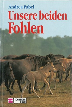 gebrauchtes Buch – Pabel, Andrea  – Unsere beiden Fohlen.