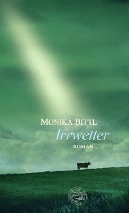 gebrauchtes Buch – Bittl, Monika  – Irrwetter : Roman.