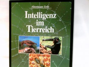 gebrauchtes Buch – Michael, Bright und Meder Angela – Abenteurer Erde - Intelligenz im Tierreich