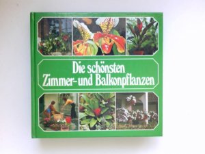 gebrauchtes Buch – Allan Moin – Die schönsten Zimmer- und Balkonpflanzen