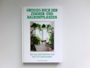 gebrauchtes Buch – Jürgen Saupe – Grosses Buch der Zimmer- und Balkonpflanzen : Text: Jürgen Saupe.