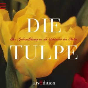 gebrauchtes Buch – Christine Paxmann – Die Tulpe eine Liebeserklärung an die Schönheit der Natur