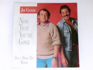 Now that you're gone 7"Vinyl Single Don't Drink the Water.