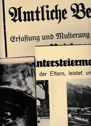 gebrauchtes Buch – Elke Hammer-Luza – NS-Frauenorganisationen, 1933-1945. Konvolut aus 3 Faksimiles.