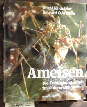 gebrauchtes Buch – Hölldobler, Bert und Edward O. Wilson. – Ameisen : die Entdeckung einer faszinierenden Welt Aus dem Amerikan. von Susanne Böll