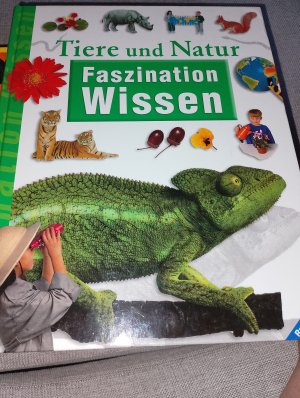 gebrauchtes Buch – Faszination Wissen: Tiere und Natur