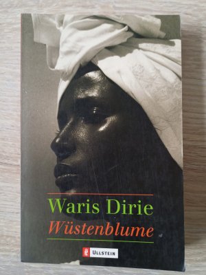 gebrauchtes Buch – Waris Dirie – Wüstenblume