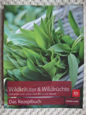 gebrauchtes Buch – Gertrud Scherf – Wildkräuter & Wildfrüchte Das Rezeptbuch - Sammeln und zubereiten Monat für Monat