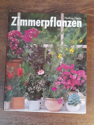 Zimmerblumen