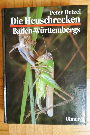 gebrauchtes Buch – Peter Detzel  – Heuschrecken Baden-Württembergs