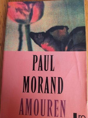 gebrauchtes Buch – Paul Morand – Amouren