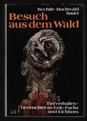 gebrauchtes Buch – Bechtle, Wolfgang / Hochwald – Besuch aus dem Wald /Tierverhalten beobachtet an Eule, Fuchs und Eichhorn