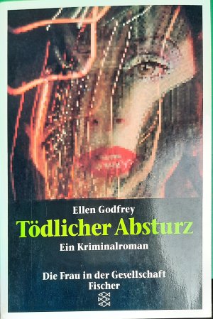 Tödlicher Absturz - Ein Kriminalroman