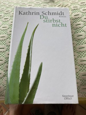 gebrauchtes Buch – Kathrin Schmidt – Du stirbst nicht