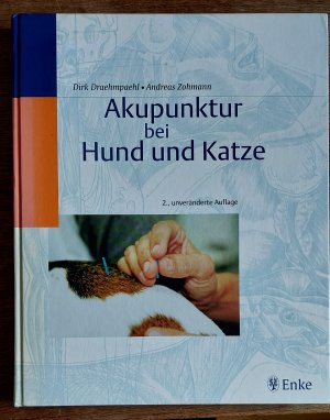 Akupunktur bei Hund und Katze