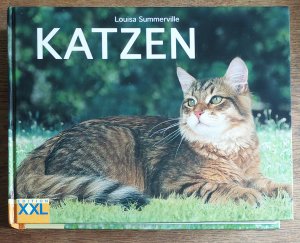 gebrauchtes Buch – Louisa Summerville – Katzen