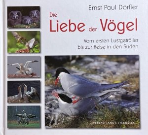 gebrauchtes Buch – Dörfler, Ernst Paul und Peter Aurand – Die Liebe der Vögel. Vom ersten Lustgeträller bis zur Reise in den Süden. Fotogr. von Peter Aurand ...